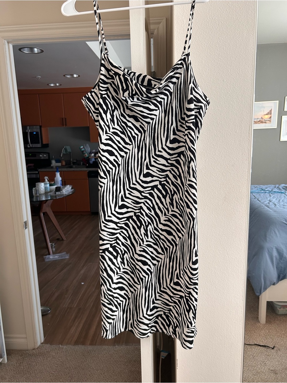 Banana Republic Zebra-Print Slip Dress - Black & White